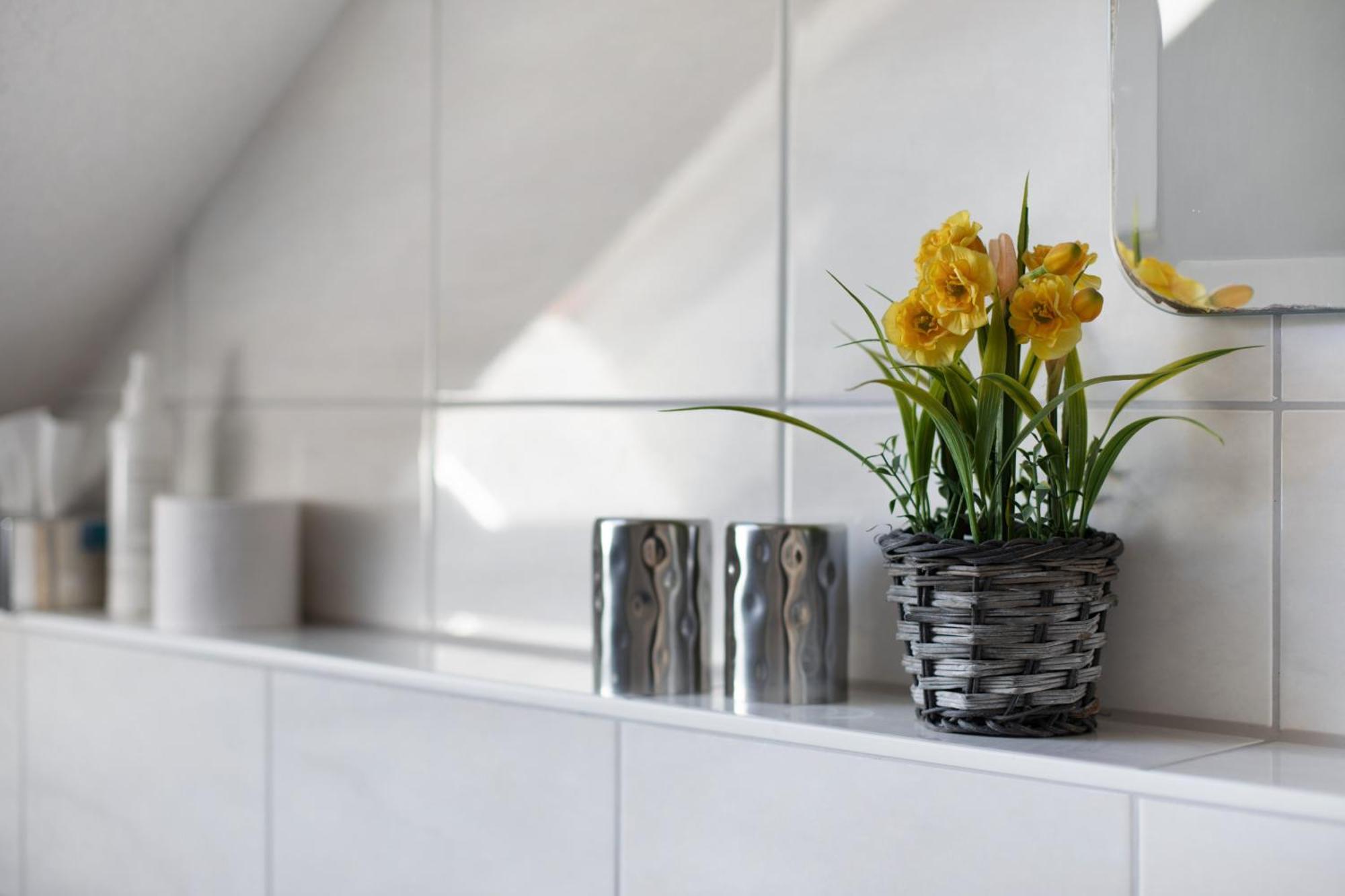 Haus Birkenmeier Appartement Freiburg im Breisgau